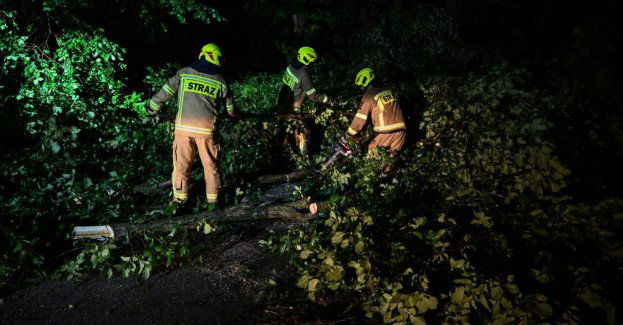W piątek 341 interwencji związanych z silnym wiatrem