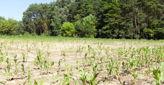 Trzeba zmienić myślenie o gospodarce wodnej i zacząć traktować ją priorytetowo