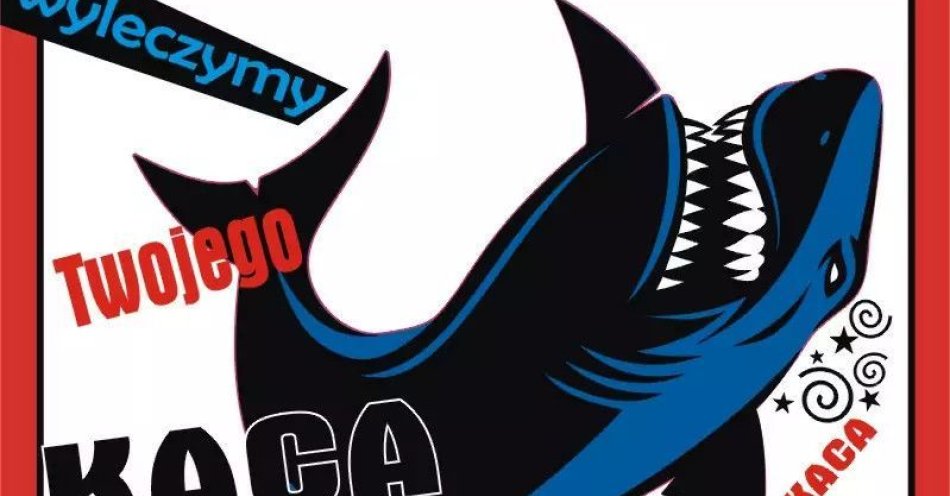 zdjęcie: Spotkanie z Teatrem Komedii Impro / kupbilecik24.pl / Spotkanie z Teatrem Komedii Impro