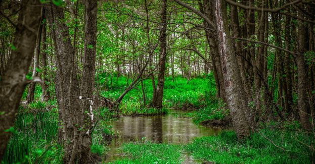 Policjanci odnaleźli kobietę, która zgubiła się na mokradłach