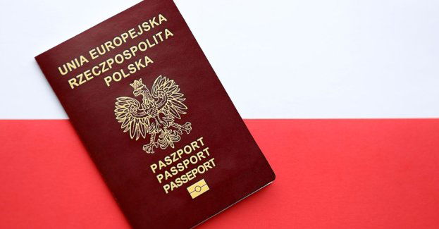 Obywatel Gruzji odpowiedzialny za kradzież na terenie Otwocka został deportowany