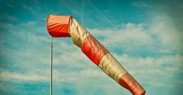 Ostrzeżenie przed silnym wiatrem na południu regionu