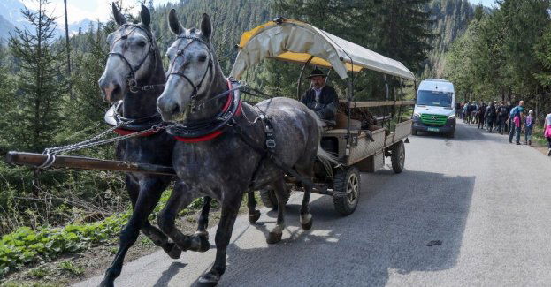 Kolejki do wozów konnych nad Morskie Oko. "Elektryki" mało popularne