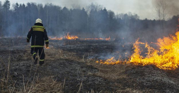 Od początku roku spłonęło już 170 ha nieużytków - tyle samo, co w całym 2024 r.