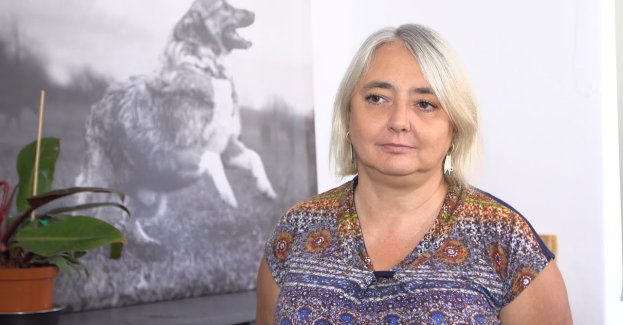 Czipowanie pozwala o jedną czwartą zmniejszyć bezdomność psów i kotów. UE chce wprowadzić taki obowiązek