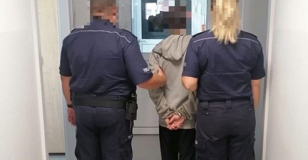 Dzielnicowi ujawnili plantację konopi