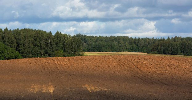 Prokuratura wszczęła śledztwo ws. działek sprzedanych Mateuszowi Morawieckiemu