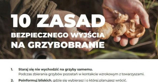 Zbierasz grzyby w lesie? Zadbaj o swoje bezpieczeństwo