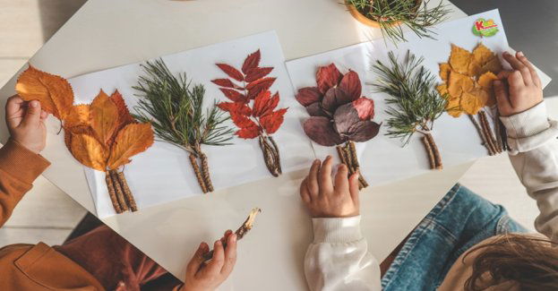 Jak zaciekawić najmłodszych przyrodą? Misja Las: przygoda edukacyjna dla dzieci