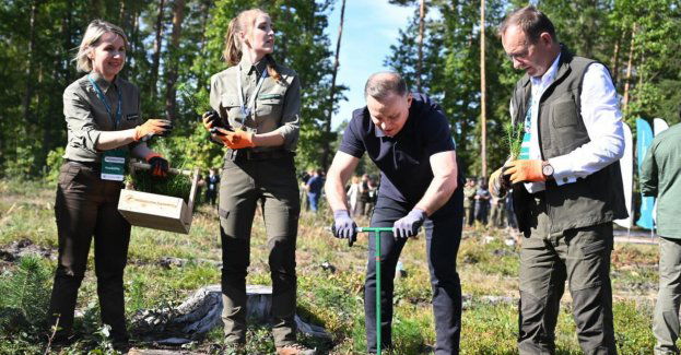 Wszyscy wiemy, jak potrzebne są lasy; trzeba popularyzować ich sadzenie