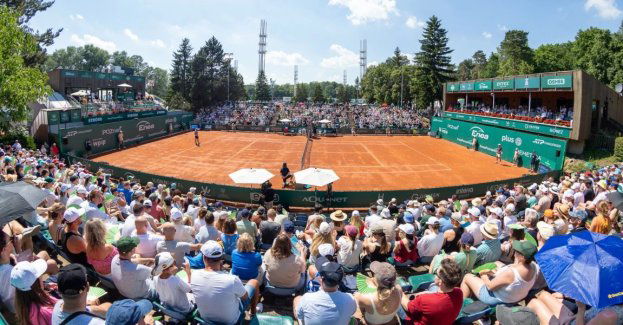 12 tysięcy kibiców na Enea Poznań Open