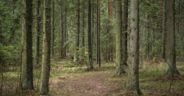 Stachuriada, nie tylko dla miłośników poezji śpiewanej