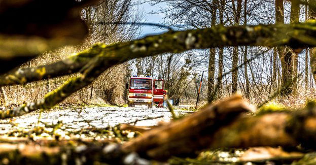 160 interwencji straży pożarnej w związku z silnym wiatrem