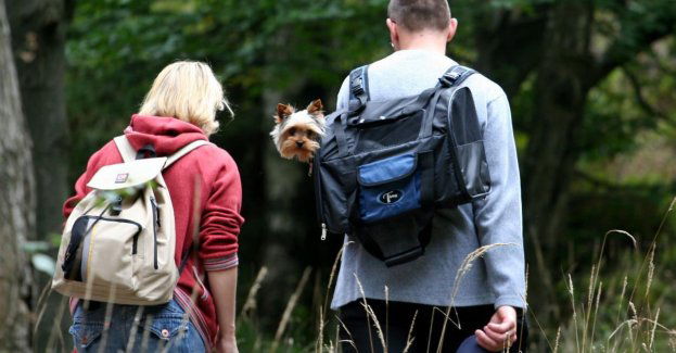 Badania potwierdzają pozytywny wpływ lasu i zieleni na zdrowie i samopoczucie ludzi