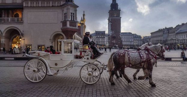 Dorożki konne wśród tematów kampanii wyborczej