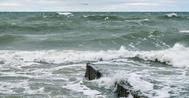 Hydrolodzy ostrzegają przed gwałtownym wzrostem stanu wody w Bałtyku