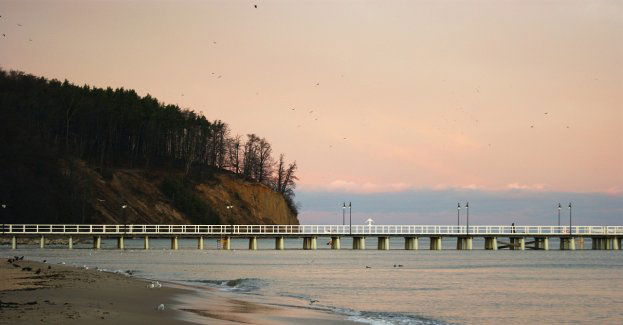 Trwa szacowanie strat po sztormie. Ucierpiał m.in. klif w Gdyni Orłowie