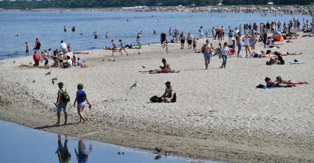 Naukowcy z międzynarodowej ekspedycji TREC badali trójmiejskie plaże