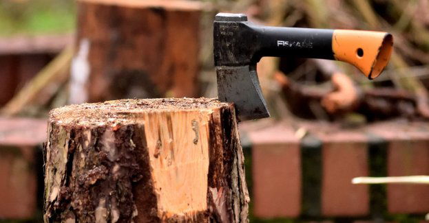 Groził policjantom siekierą, stanie przed sądem - teraz grozi mu do trzech lat więzienia