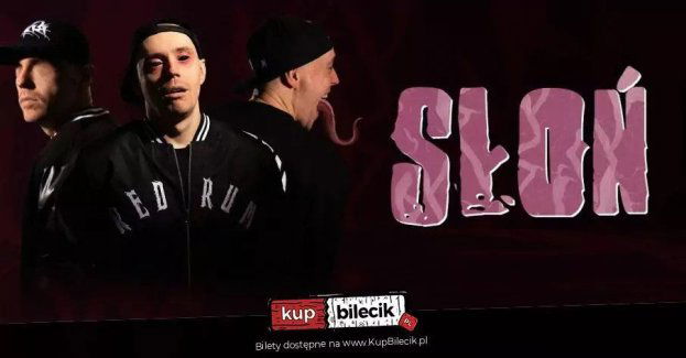 Koncert Słonia