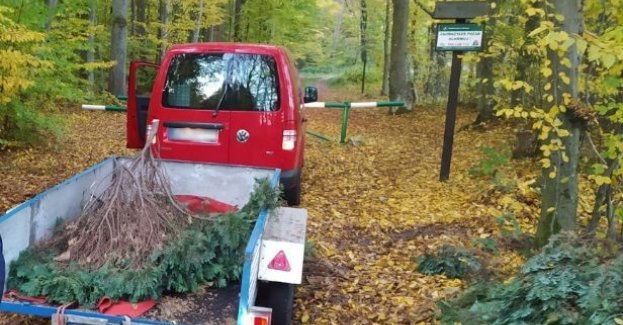 Przyłapany na nielegalnym wyrzucaniu śmieci