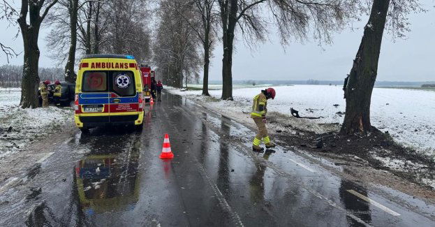 Zjechała z drogi i uderzyła w drzewo