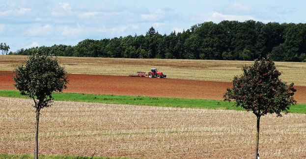 ARiMR: ponad pół miliona wniosków o dopłaty bezpośrednie