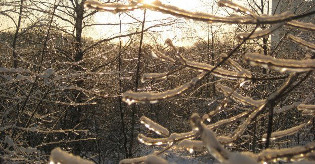 Prognoza pogody na 25 i 26 listopada