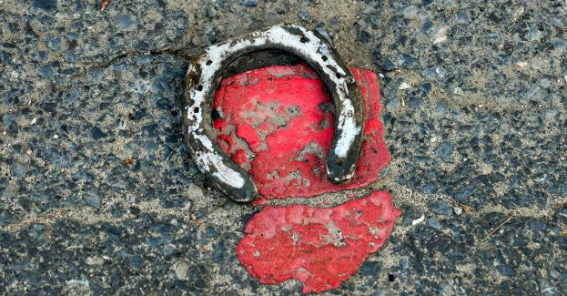 Policjanci z Radomska wyjaśniają okoliczności zderzenia auta osobowego z koniem