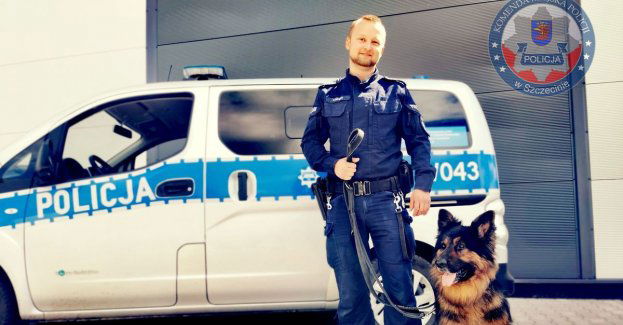 Pies Kałam i jego przewodnik zatrzymali poszukiwanego