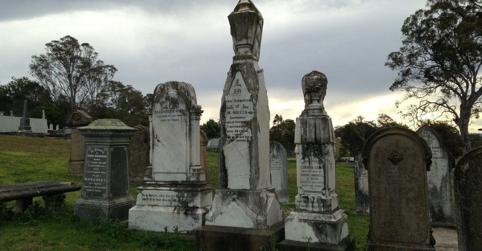 zdjęcie: Ponad 65 tys. zł zebrano podczas pierwszego dnia kwesty na cmentarzu przy Lipowej / pixabay/681817