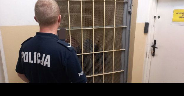 Dzierzgońscy policjanci zatrzymali sprawcę kradzieży