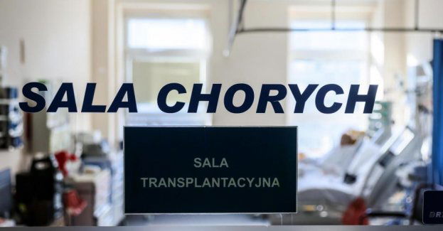 Rekordowa liczba przeszczepów narządów w Polsce w 2023 r.