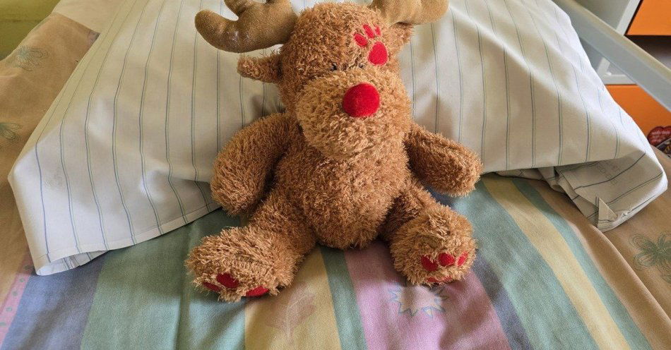 zdjęcie: Policjantki obdarowały małych pacjentów pluszakami / fot. KPP w Pszczynie