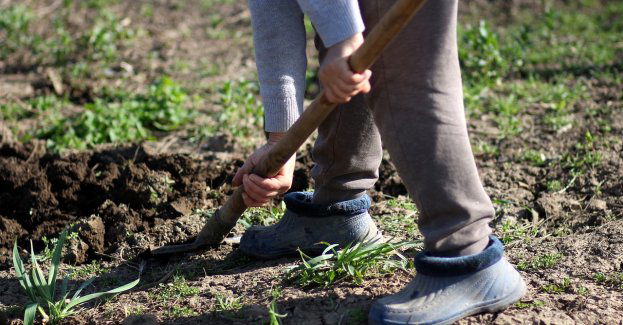 Rodzice martwego noworodka usłyszeli zarzuty znieważenia zwłok