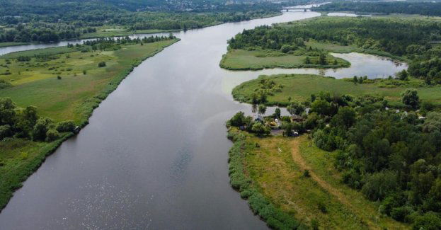 Nadchodzące upały zwiększają ryzyko rozwoju złotej algi