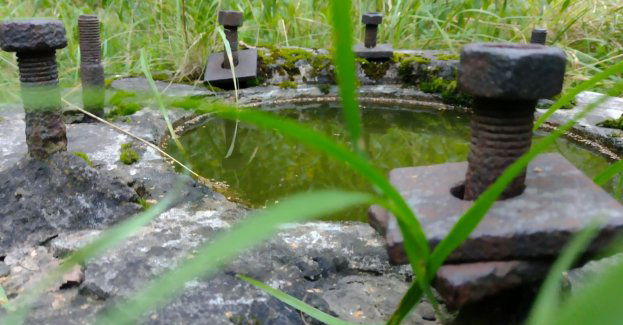 Zielona Łódź zaprasza na wycieczkę rowerową