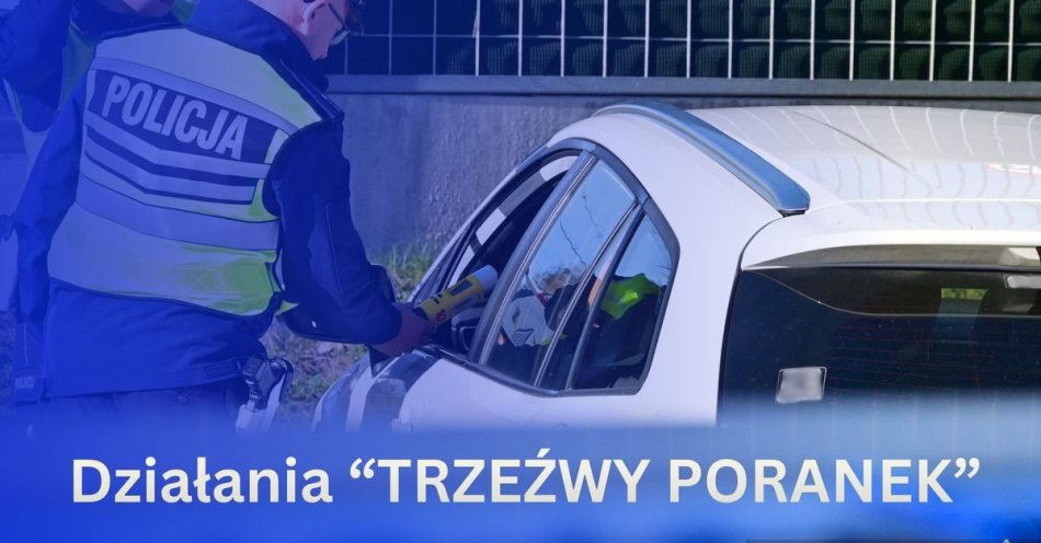 zdjęcie: Trzeźwy poranek w powiecie stalowowolskim 1534 kontrole / fot. KPP w Stalowej Woli