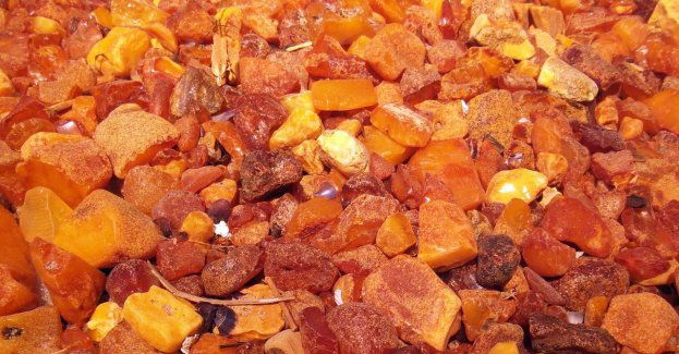 Funkcjonariusze KAS wykryli przemyt bursztynu o wartości ponad 205 tys. zł