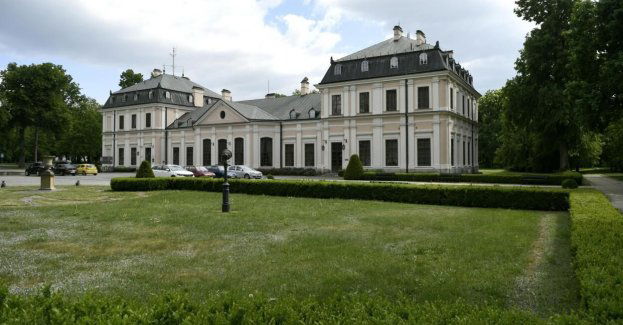 Srebro ukryte w ziemi; w Sieniawie odnaleziono prawdopodobnie skarby rodu Czartoryskich