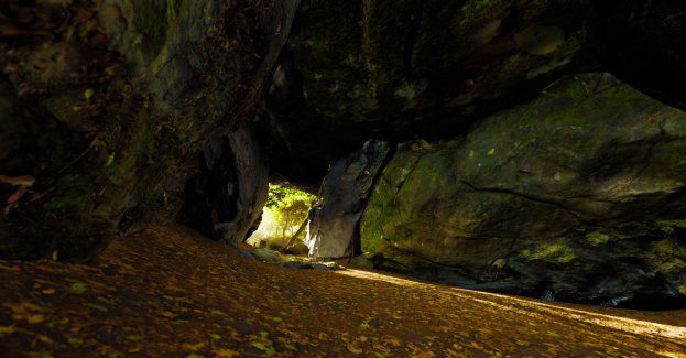 Rusza skanowanie 3D podziemi Sztolni Głębokiej Fryderyk