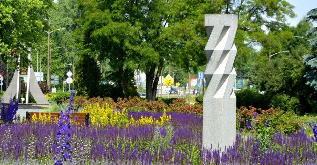 Przybyło nam ponad 2 tysiące drzew, w planach kolejne