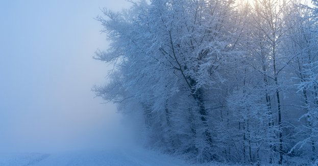W nocy śnieg, mgły i silny mróz na Suwalszczyźnie