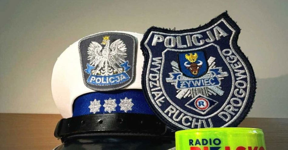 zdjęcie: Świetlny Pomysł II w gminie Łodygowice rozświetli choinki / fot. KPP w Żywcu