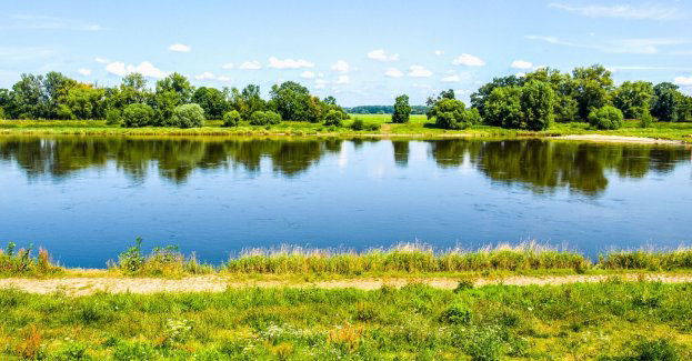 17 osób próbowało przez Bug przekroczyć granicę białorusko-polską