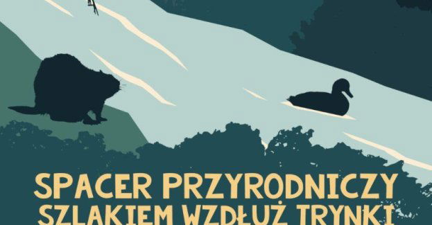 Spacer przyrodniczy - szlakiem wzdłuż Trynki