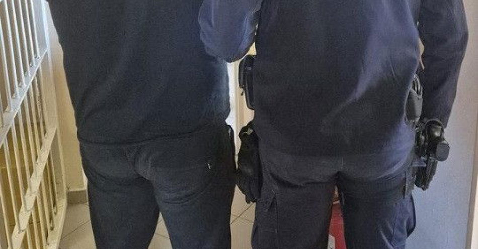 zdjęcie: Kierował mimo dwóch zakazów skazany na więzienie i prace społeczne / fot. KPP w Pruszczu Gdańskim