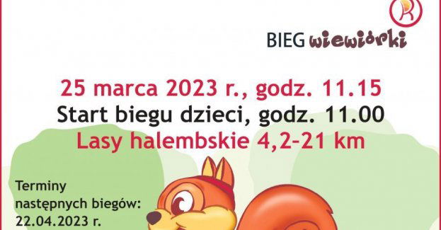 Z wiewiórką po halembskim lesie