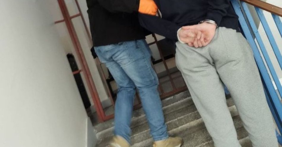 zdjęcie: Zatrzymano 34-latka podejrzanego o kradzieże w Malborku / fot. KPP w Malborku