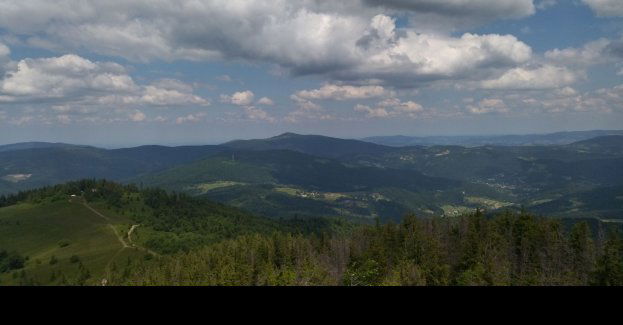 Gorce i Beskid Wyspowy - góry lasem malowane